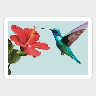 Flying Humming Bird Hibiscus flower Magnet